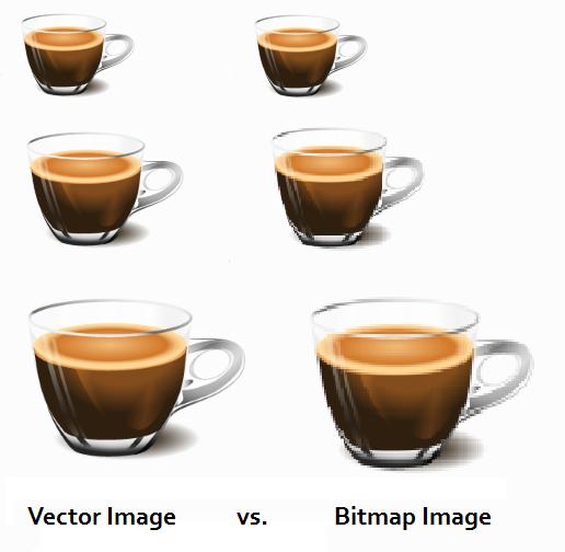Vector and bitmap graphics